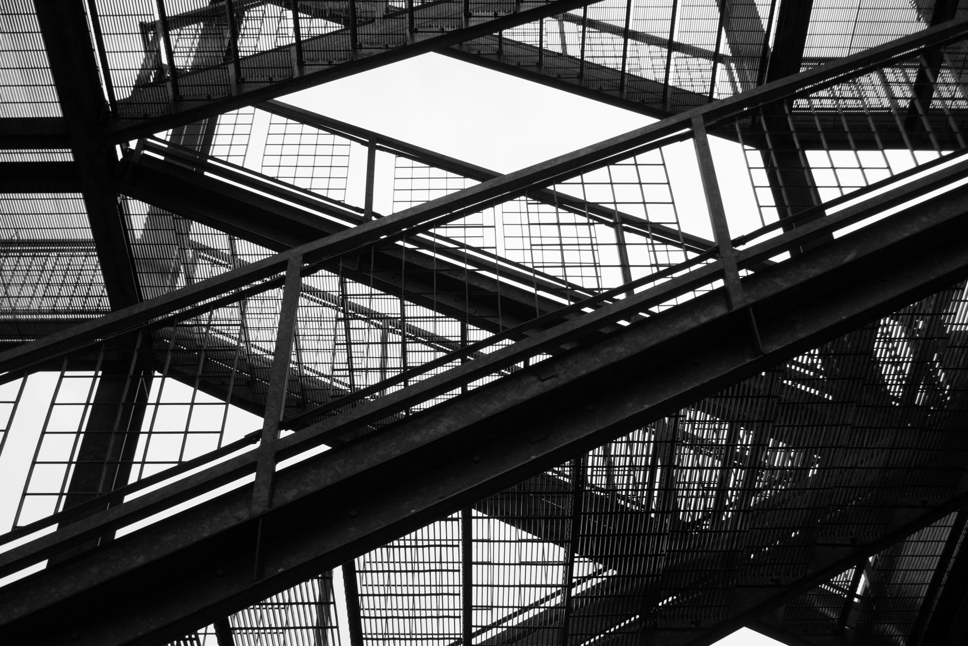 Structural steel and roof framing in a modern industrial building